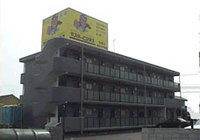 17.jpg