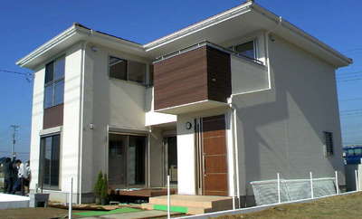 TS3E3030.JPG